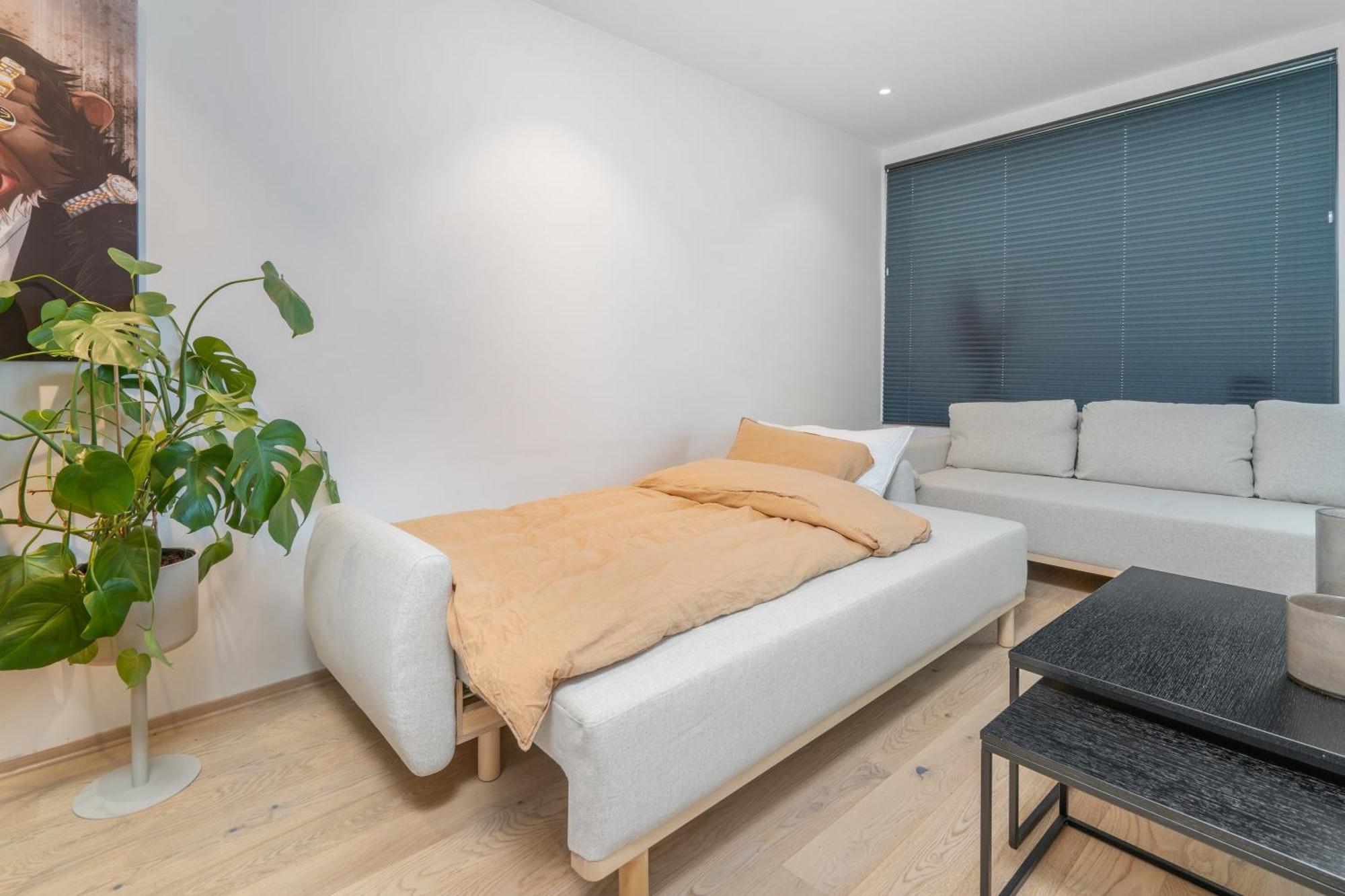 Monkey Business In Kings Park Apartment 特罗姆瑟 外观 照片